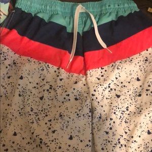 Men’s chubbies swim shorts